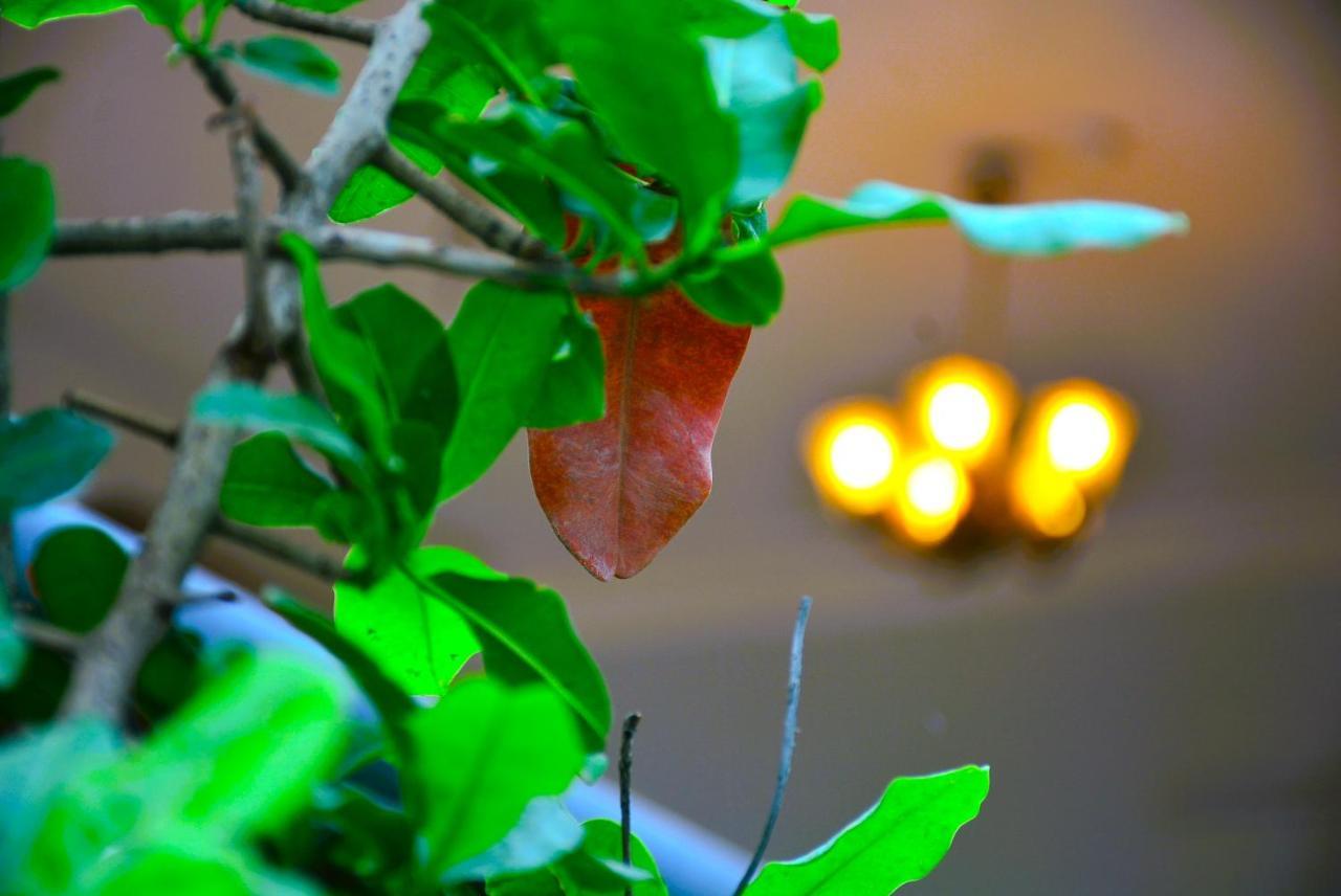 Yellow Homestay - Modern 2Bhk Ac Stay Jabalpur Exteriér fotografie